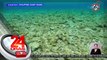 Mga bahurang may patay na corals, tinatambayan ng Chinese vessels — PCG | 24 Oras