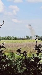 M58 MICLIC — работает американская установка разминирования.