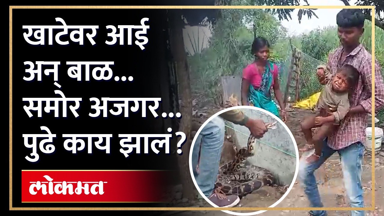 आई आणि बाळ गाढ झोपेत... खाटेवर अजगर आला... पुढे जे झालं ते... | Python in House