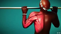Wie funktionieren eigentlich Muskeln?