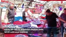 Kilosu 50-150 TL arasından değişen balık, tercih edilmeye başlandı