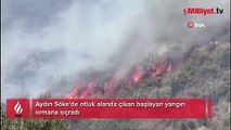 Aydın'da otluk alanda başlayan yangın ormana sıçradı