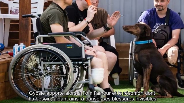 Les animaux au secours des soldats Ukrainiens traumatisés par la guerre