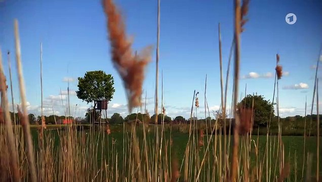 Rote Rosen Folge 3830