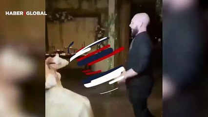 Şaşkına çeviren anlar! Düğünde şovun ayarını kaçıran damat geline döner tekme attı