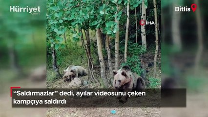 "Saldırmazlar" dedi, ayılar videosunu çekerken saldırdı