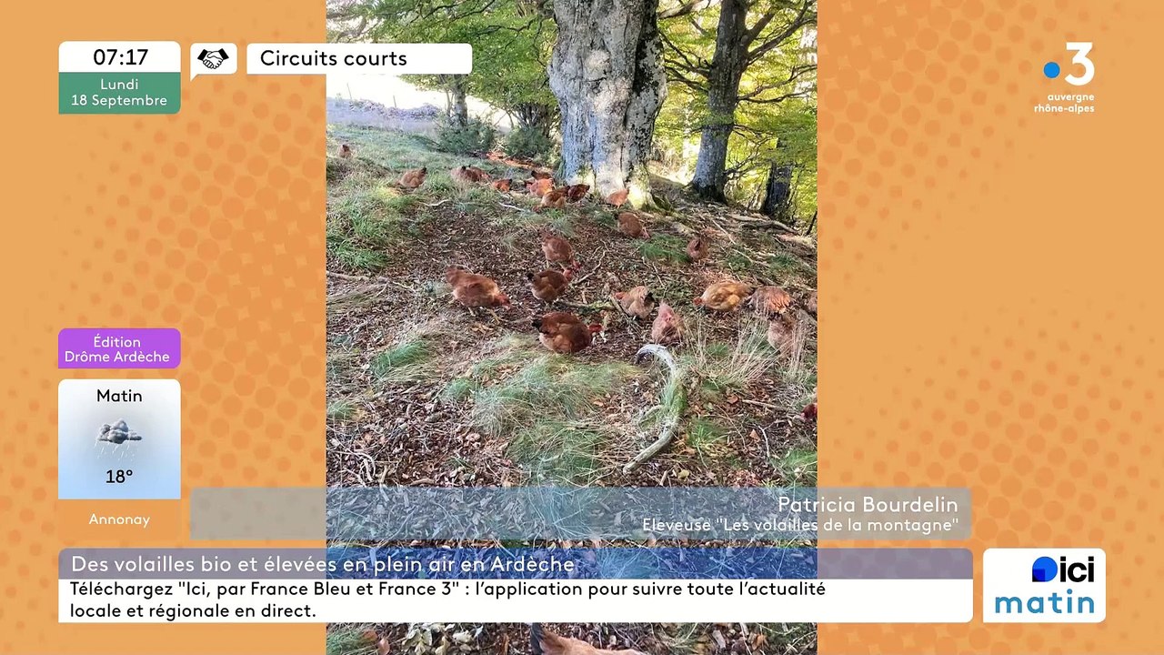 A Sagnes-et-Goudoulet, "Les volailles de la Montagne", poulets, pintades, poulardes, coq en Agriculture Bio