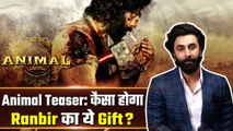 Animal Teaser: क्या Expect कर सकते है हम Ranbir Kapoor और Rashmika Mandanna की Film से? FilmiBeat