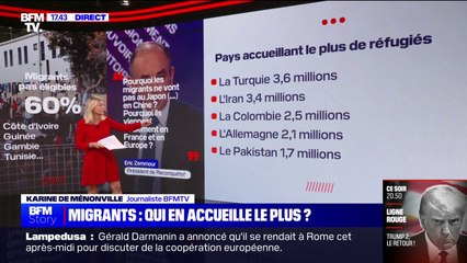 Download Video: LES ÉCLAIREURS - Quels pays accueillent le plus de réfugiés?