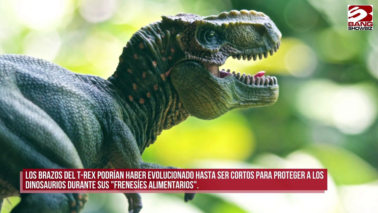 Los brazos del T-Rex evolucionaron hasta ser cortos para protegerse