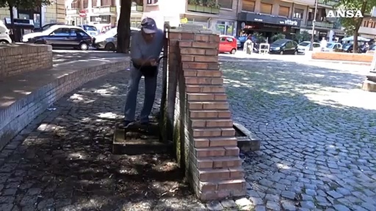 Effetto clima, salgono i casi febbre del Nilo e Dengue