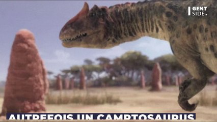 Qui est "Barry", ce magnifique squelette de dinosaure qui va être mis en vente à Paris