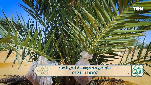 لقاء مع الفنانة جميلة عزيز.. وجهود مؤسسة نبض الحياة في مساعدة الفقراء | بنت البلد