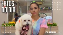 Harmonização facial em cães conquista mercado pet em Castanhal