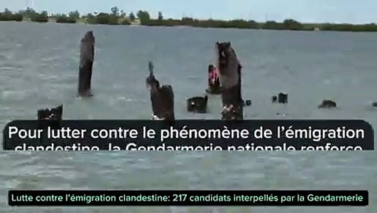 217 candidats à l’émigration irrégulière interpellés par la gendarmerie