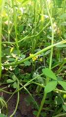 4K Ultra Hd Video | 4K Relax Video | Beautiful Nature Video