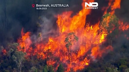 Watch: Bushfire sweeps through Beerwah area of Queensland, Australia