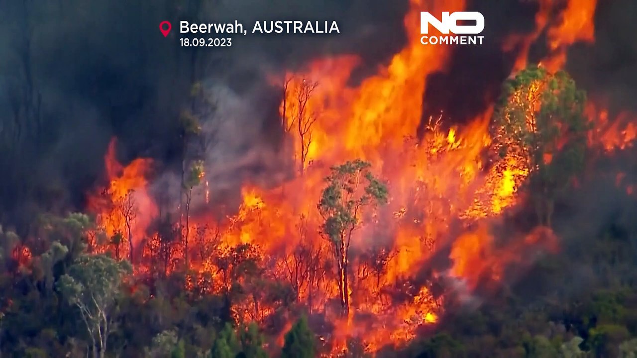 Watch: Bushfire sweeps through Beerwah area of Queensland, Australia