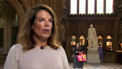 MP calls for ‘thorough criminal investigation’ into Brand