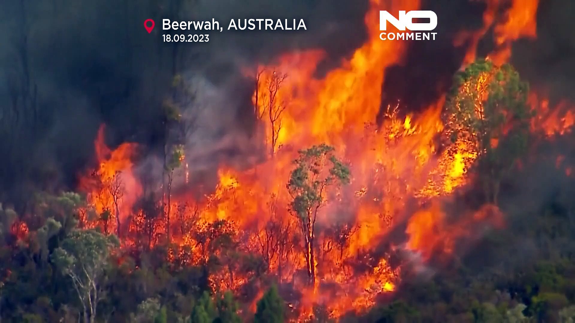 Australie: les feux de brousse sont de retour - Vidéo Dailymotion