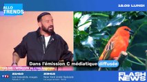 Cyril Hanouna critique violemment France 5 et l'émission 