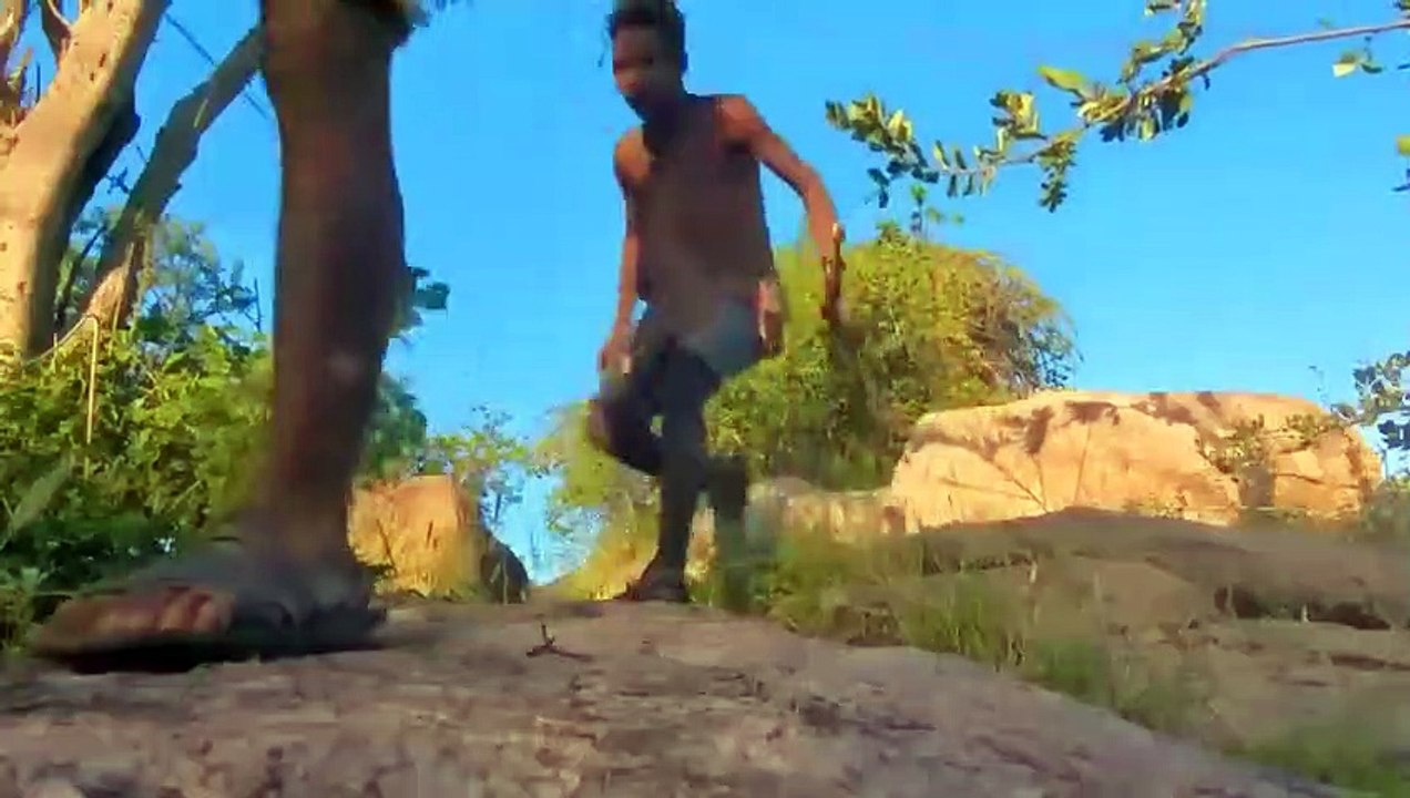 Unlucky! Unexpected Ending For Leopard Risks His Life Hunting Buffalo In Hadzabe Tribe Territory