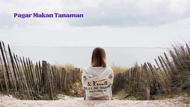 Lagu Lagu Dangdut Remix + Koplo (Indonesia)