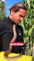 Un surfeur se prend une amende de 1400€ pour avoir surfé avec son python domestique