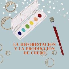 Jose Antonio Haua Maauad: El impacto ambiental de la producción de cuero (parte 1)