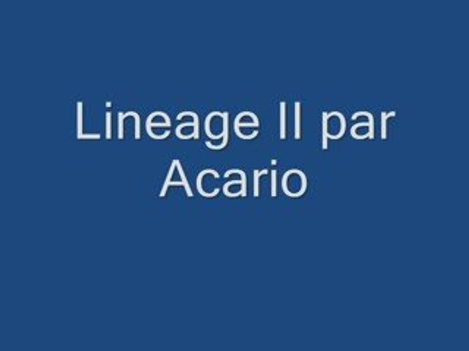 Lineage 2 par Acario