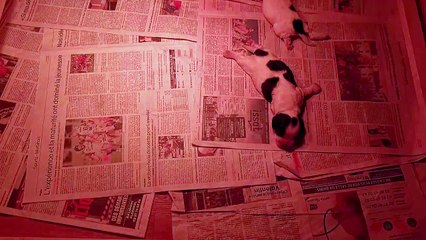 naissance bébés Sterenn 2023