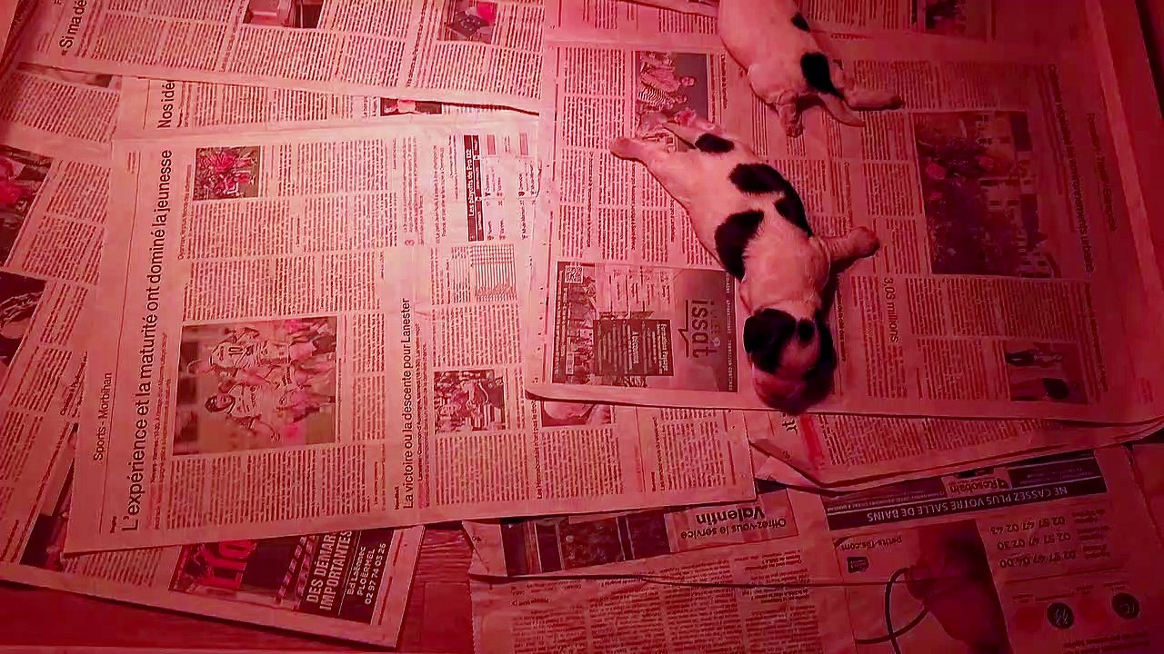 naissance bébés Sterenn 2023