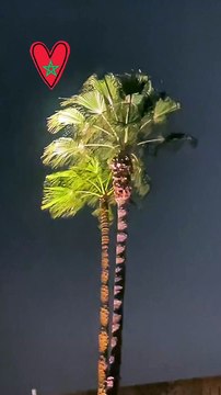 Et ont dévoilé tout l'amour qu'elle portait au Maroc dans leurs stories InstagramSarah Poniatowski de retour au Maroc après le drame