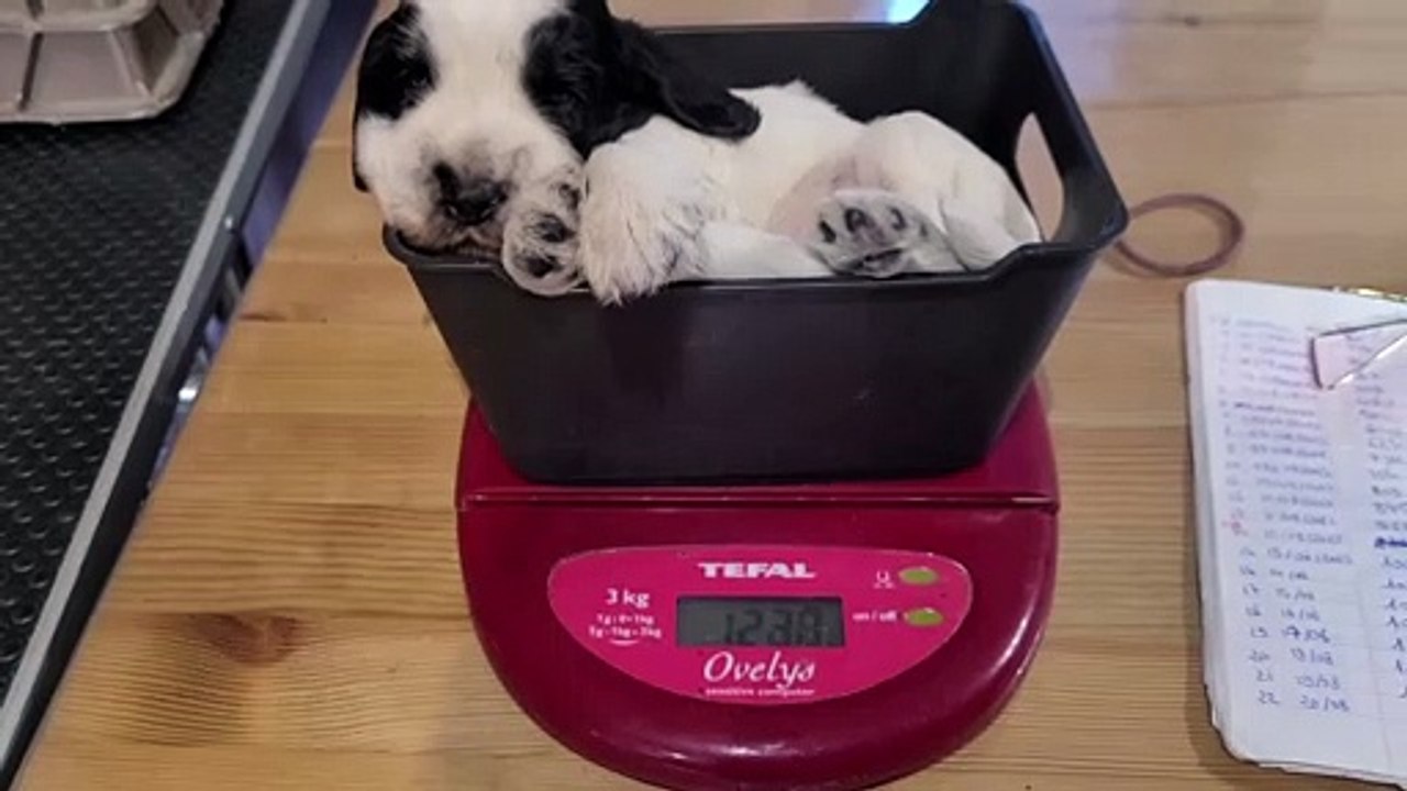 20230819_UnderPressure