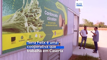 Antigas terras onde a organização criminosa italiana Camorra queimava resíduos renascem das cinzas