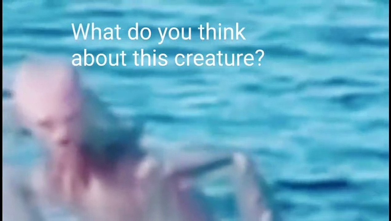 Strange animals