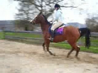 Mon loulou et moi...