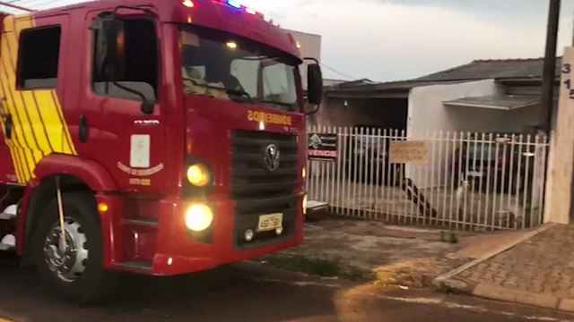 Corpo de Bombeiros captura cobra Coral em residência no Parque Verde
