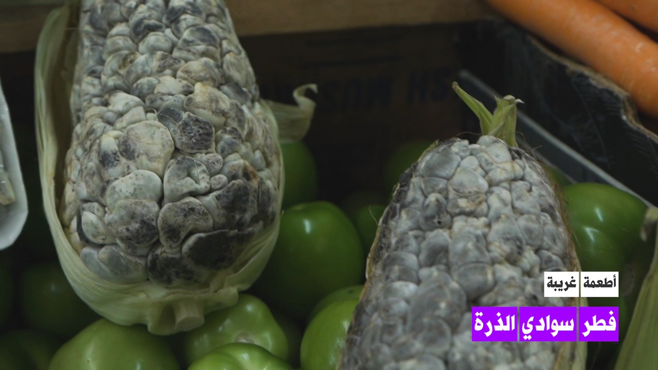أطعمة غريبة: فطر سوادي الذرة