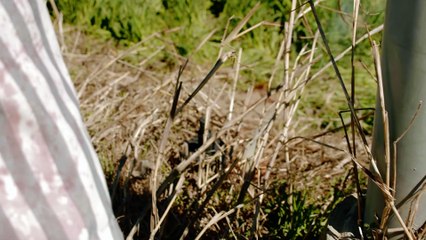 Campo de Trigo | movie | 2023 | Official Featurette