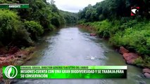 Misiones cuenta con una gran biodiversidad y se trabaja para su conservación