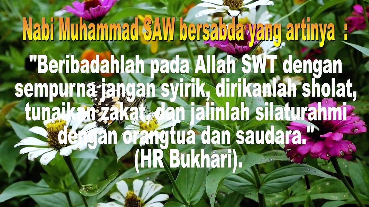 NASEHAT & KATA BIJAK DARI HADITS NABI MUHAMMAD SAW #07 #TENTANG KEHIDUPAN SEHARI-HARI