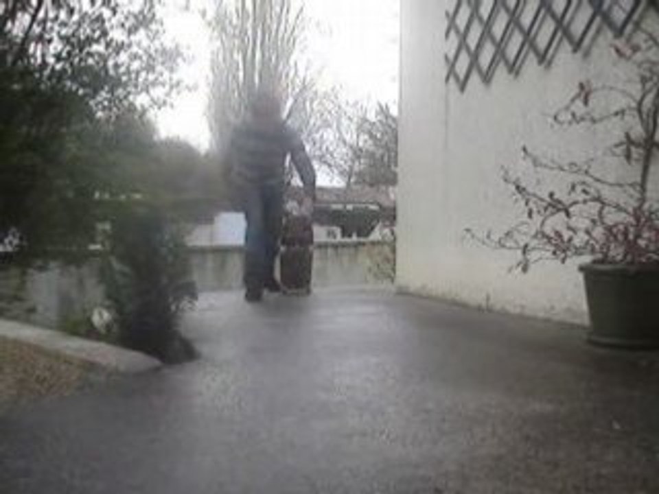 skate ( un peu a l'arache)