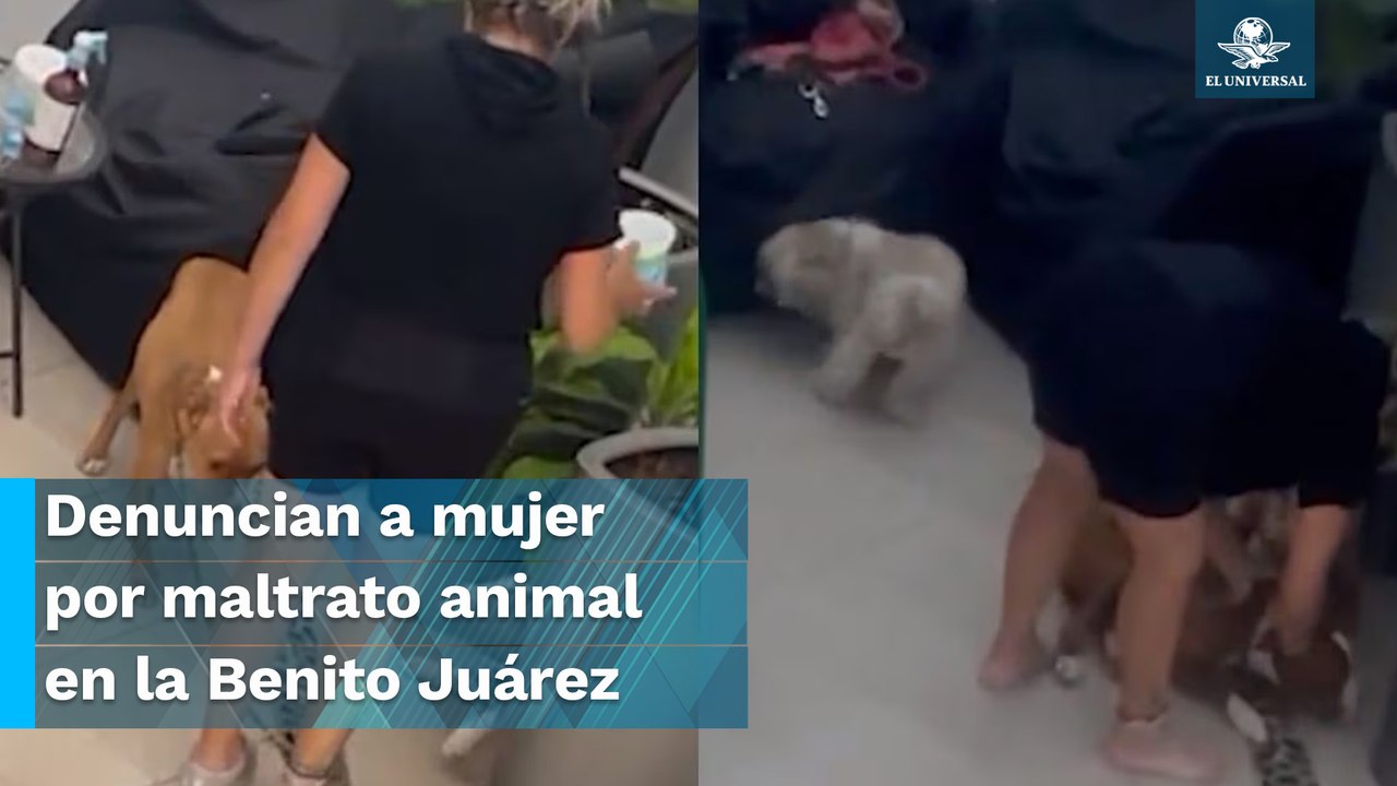 Captan a mujer golpeando a perritas en la Benit...