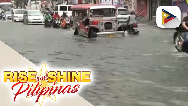 Kaso ng leptospirosis, tumaas ngayong taon, ayon sa DOH