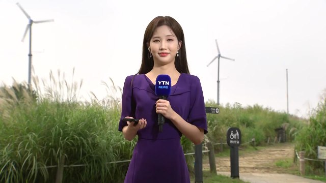 [날씨] 낮 더위 오늘까지...내일∼모레 전국에 국지성 호우 / YTN