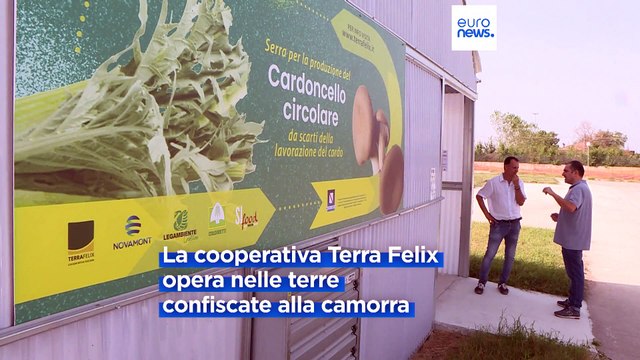 Non più Terra dei Fuochi ma Terra Felix: la cooperativa che coltiva i terreni confiscati ai Casalesi