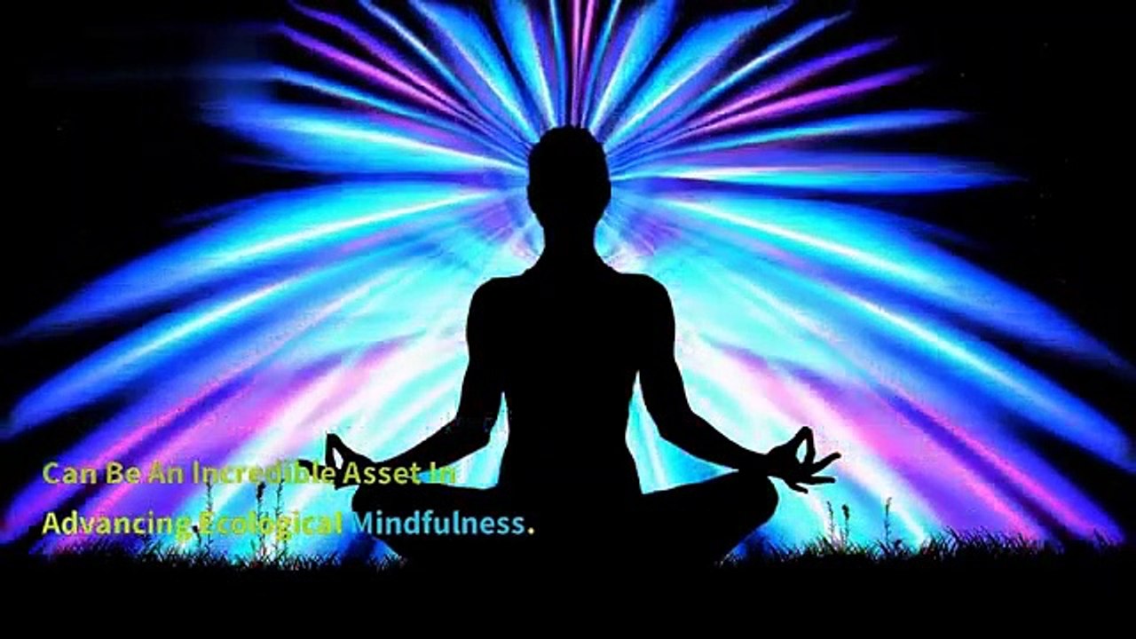 How Creature Instruction Can Assist with advancing Natural Mindfulness