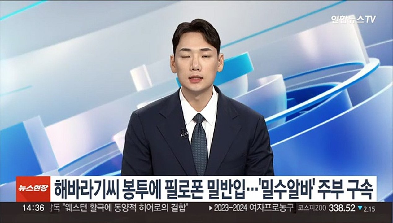 해바라기씨 봉투에 필로폰 밀반입…'밀수 알바' 주부 구속