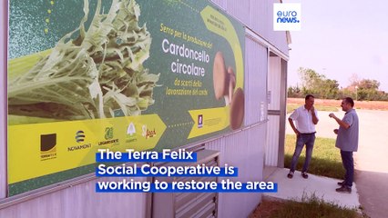 Italian cooperative breathes new life into abandoned land seized from Camorra gangsters